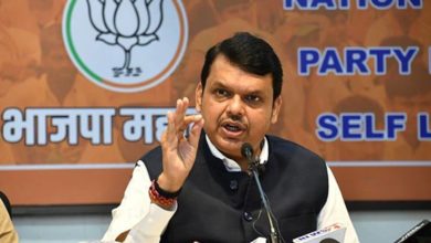 TMC Visited Goa With A Suitcase Of Money To Buy Leaders: Fadnavis