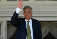 Sri Lanka Prime Minister Ranil Wickremesinghe Appointed Acting President