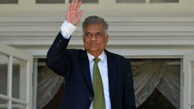 Sri Lanka Prime Minister Ranil Wickremesinghe Appointed Acting President